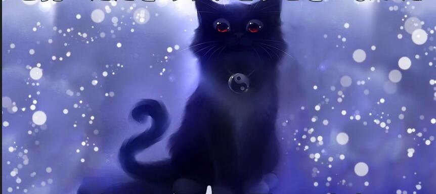 中国最贵的十种宠物猫,最贵的宠物猫有哪些