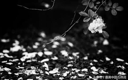 唐伯虎书法长卷落花诗册完整,唐伯虎的落花诗册有多少个字