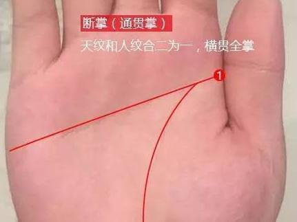 如何分清断掌,如何辨别啥是断掌