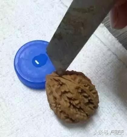 小核桃开裂补救方法,核桃开裂怎么样补救