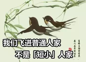 少年醒醒！这些你常说的词，本来并不是这个意思啊！
