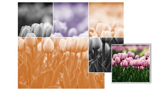 ppt曲屏图片墙怎么做,ppt特点背景墙效果图