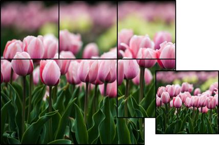 ppt曲屏图片墙怎么做,ppt特点背景墙效果图