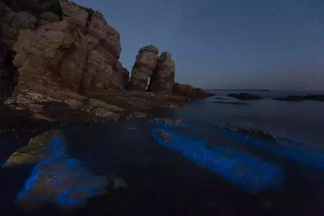 国内看荧光海最好看的地方,世界上最梦幻的荧光海