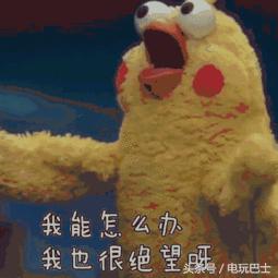 可以给自家孩子取名王者光荣吗,给孩子起名叫王者光荣的新闻