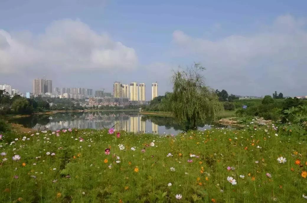 太精辟！一句话形容贵州88区县，看到自己的家乡笑死了！哈哈哈