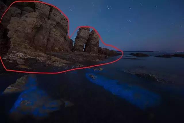 国内看荧光海最好看的地方,世界上最梦幻的荧光海