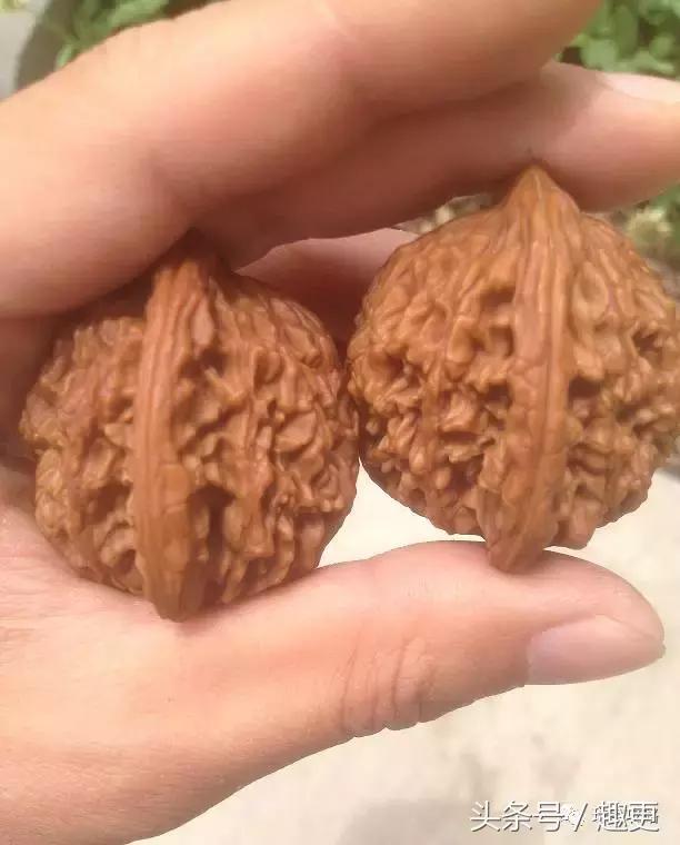 小核桃开裂补救方法,核桃开裂怎么样补救