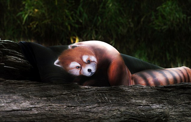 这个汽修工的真实身份是……｜英语每日学