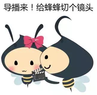 红蜻蜓和百丽和达芙妮哪个牌子好,百丽红蜻蜓达芙妮