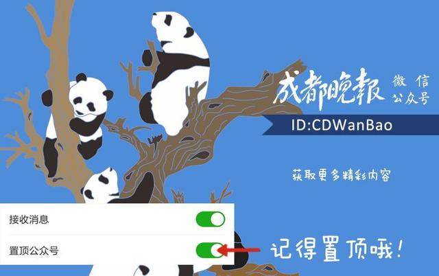 成都地铁19号线和10号线怎么换乘,地铁10号线时间表最新信息