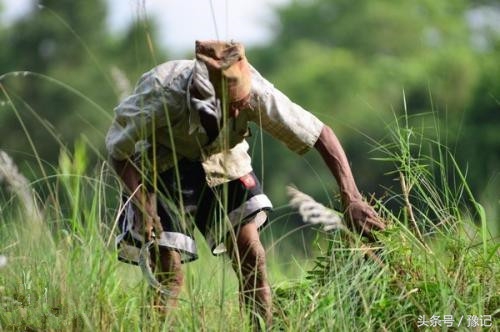 不会掂镰割草，你就算不上地道的河南农村娃