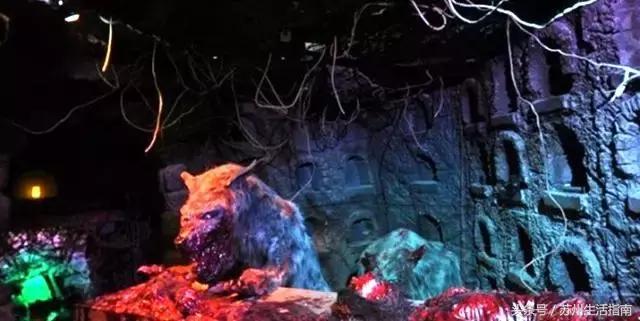 鬼节苏州有什么活动,苏州鬼市时间及地点