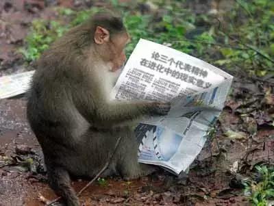 太精辟！一句话形容贵州88区县，看到自己的家乡笑死了！哈哈哈