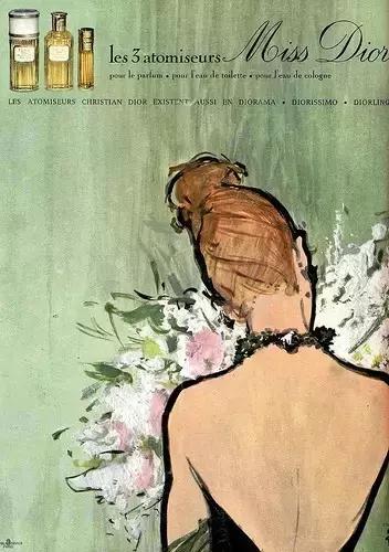 闻香识女人看过没,闻香识女人闻茶