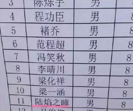 你可以给孩子取名王者光荣吗,取名王者光荣的孩子长大了