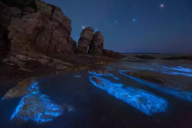 国内看荧光海最好看的地方,世界上最梦幻的荧光海