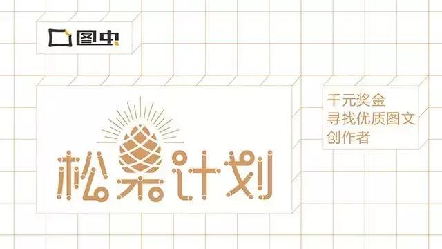 国内看荧光海最好看的地方,世界上最梦幻的荧光海