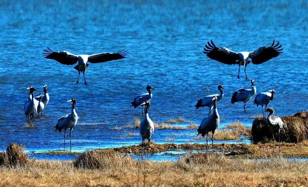 太精辟！一句话形容贵州88区县，看到自己的家乡笑死了！哈哈哈