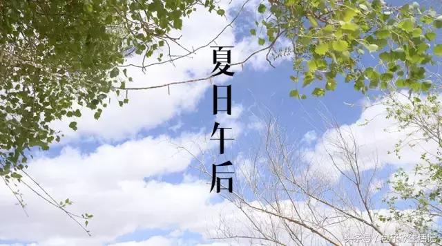 来一碗潮汕人独有的甜汤,给大家展示一碗潮汕人的甜汤