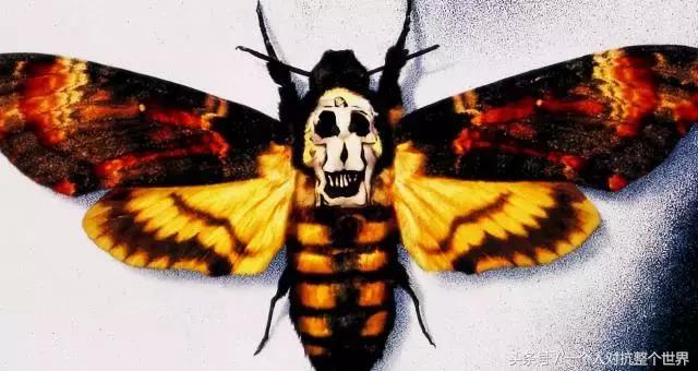 安利最好看的三部电影,推荐十部口碑好到让人尖叫的电影