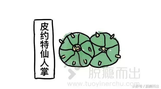 药品如何沦为毒品,药品商业化内幕