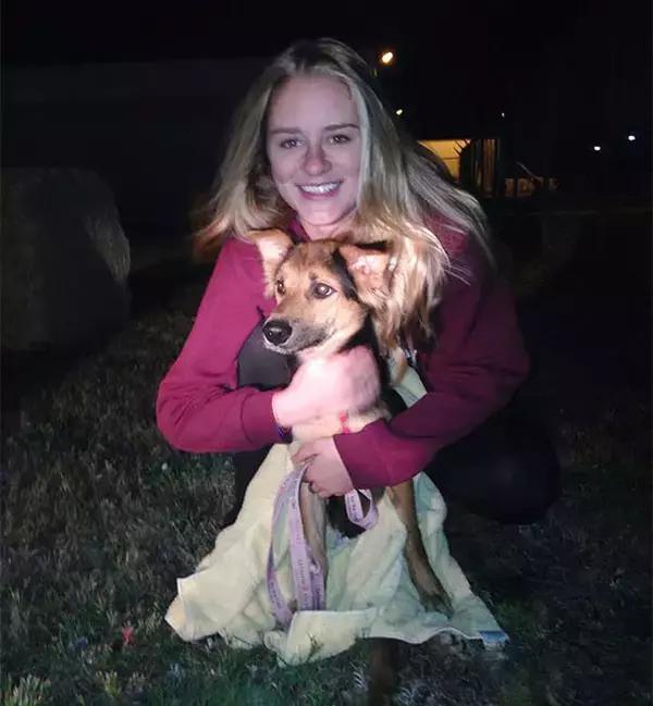 上海流浪狗幼崽被打死,上海宠物狗被打死爱狗人士