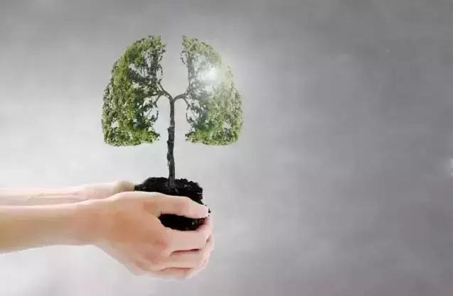 白露重污染天气预报,白露时节气温开始下降