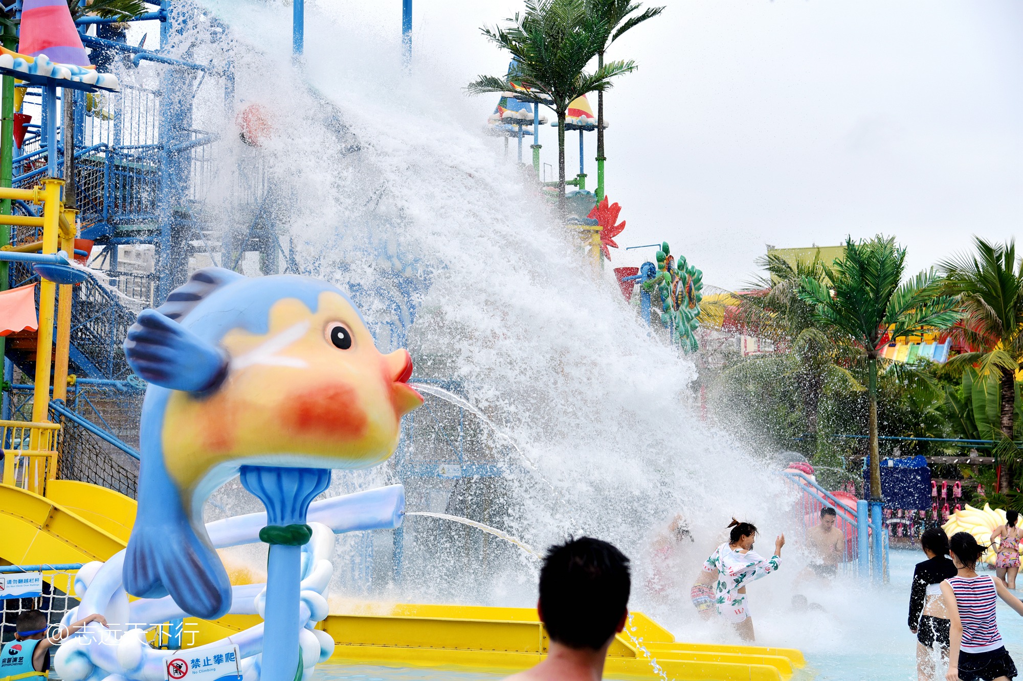 小女孩的三亚游,三亚合适小朋友玩的景区