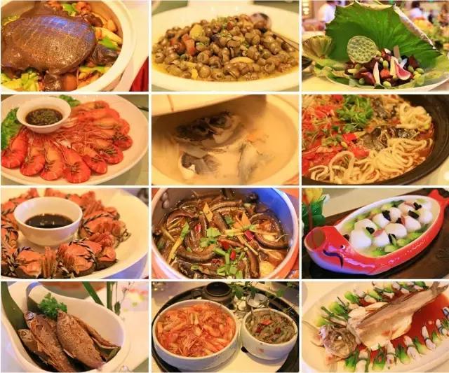 太湖七都美味鱼蟹现捕现吃，还能看鸬鹚，就这么傲娇｜内附视频