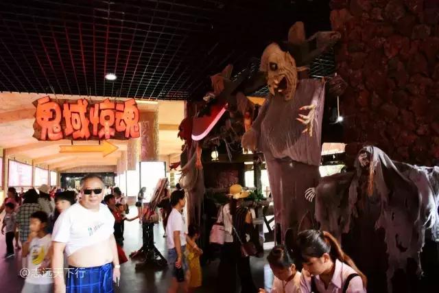 小女孩的三亚游,三亚合适小朋友玩的景区