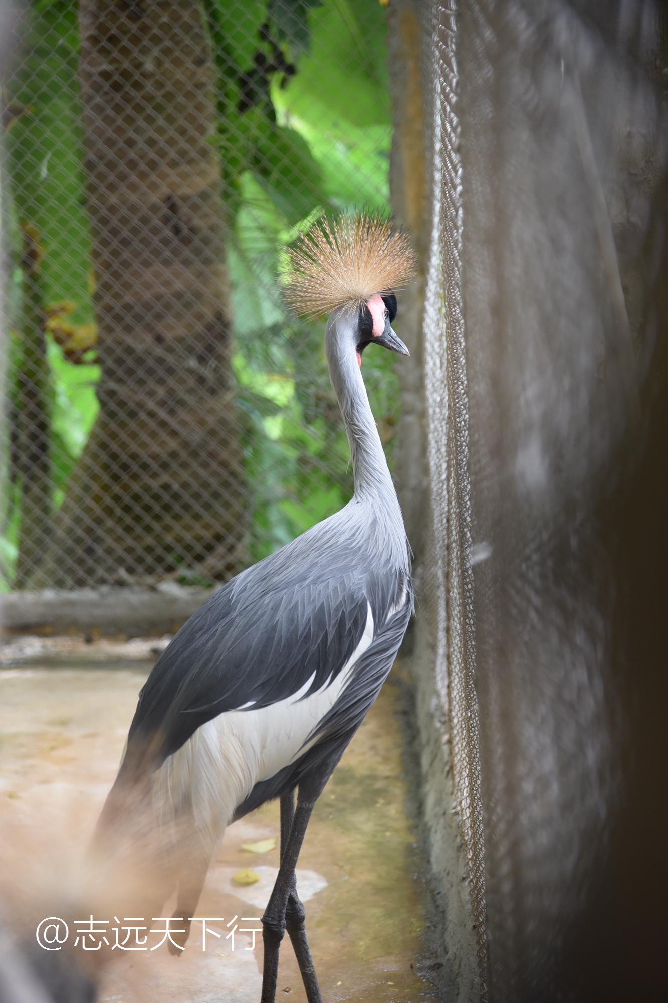 小女孩的三亚游,三亚合适小朋友玩的景区