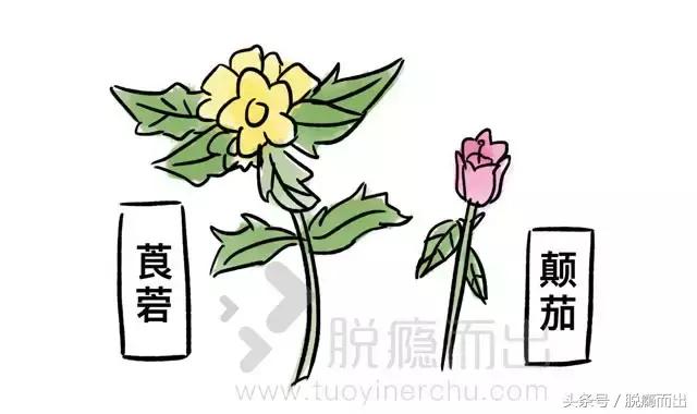 药品如何沦为毒品,药品商业化内幕