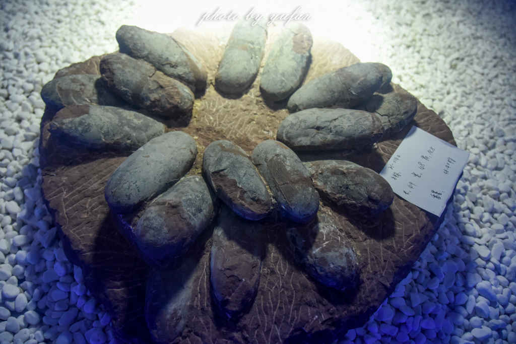 中国被称为恐龙之乡的地方在哪,哪里被誉为中国北方恐龙之乡