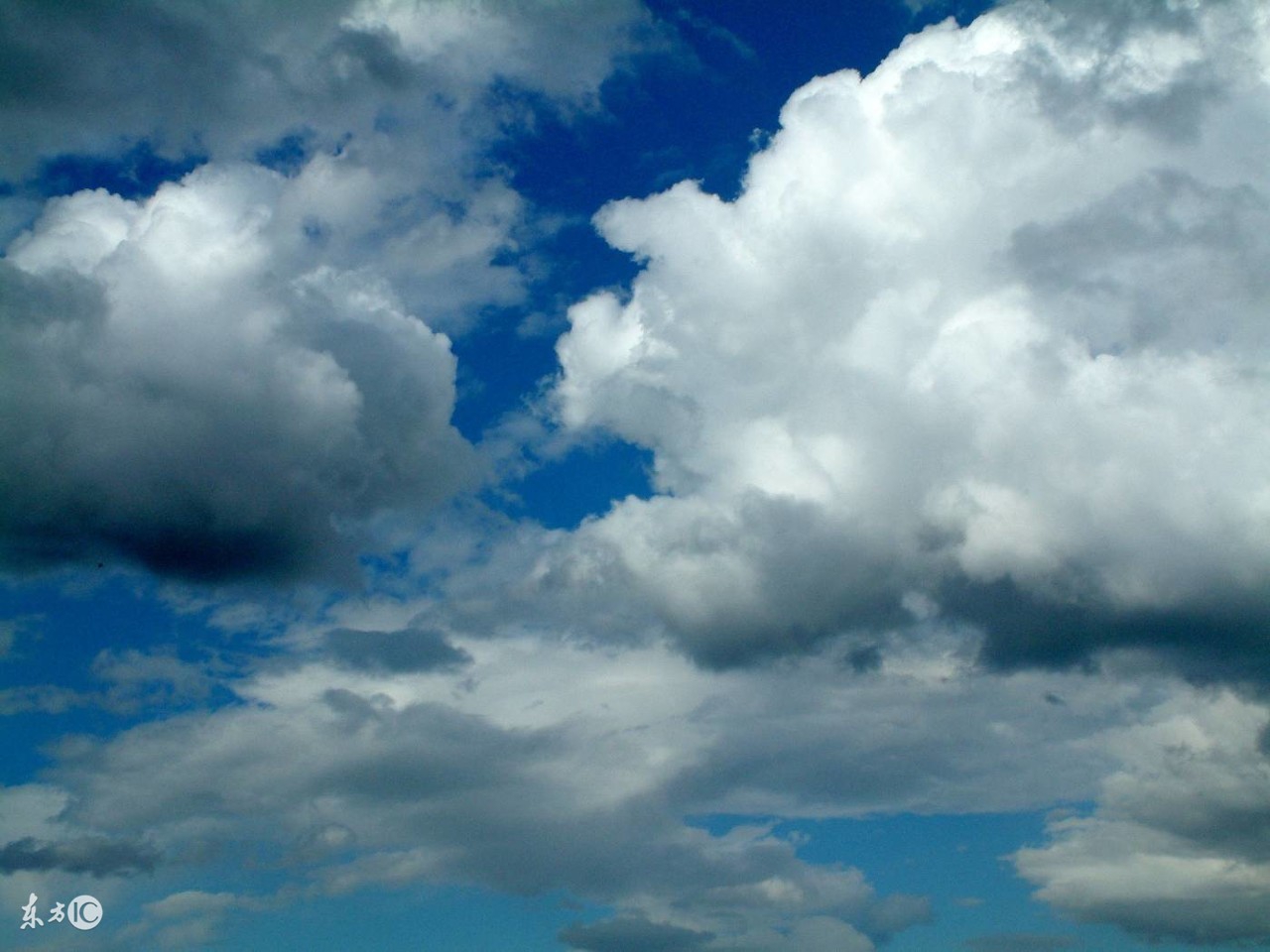 山西特岗语文分值分布,山西特岗语文科目