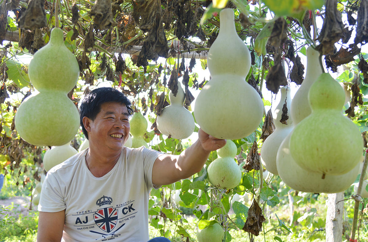 现代版的《葫芦娃》在咱南贾镇上鲁村精彩实景演出，您也过来看看