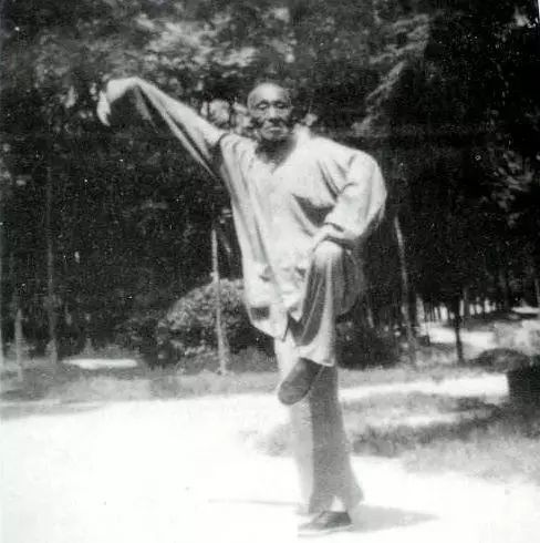 五虎上将的武功,太极拳武功高手