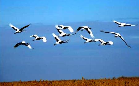 品味生活享用人生意义,品味生活升华自己启迪他人