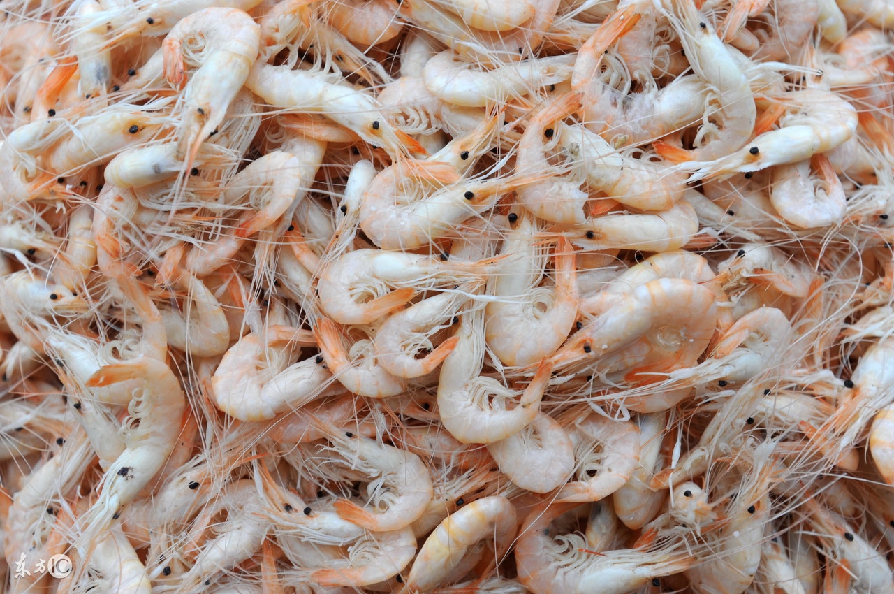 哺乳期吃什么好下奶,哺乳期吃什么好