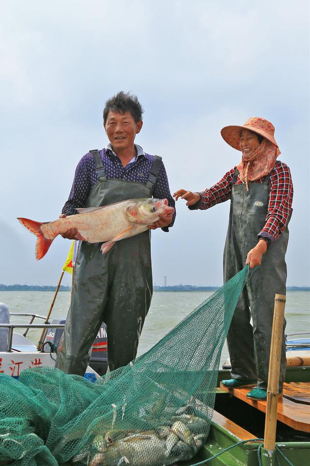 太湖七都美味鱼蟹现捕现吃，还能看鸬鹚，就这么傲娇｜内附视频