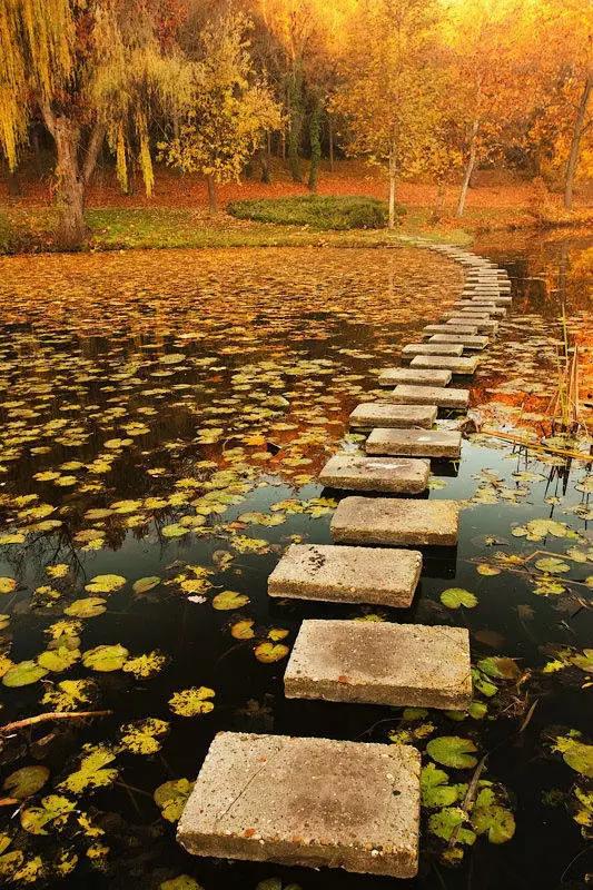 苏轼行香子秋与全文,苏轼行香子秋与