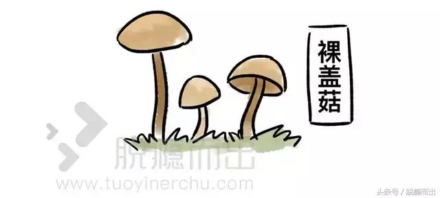 药品如何沦为毒品,药品商业化内幕