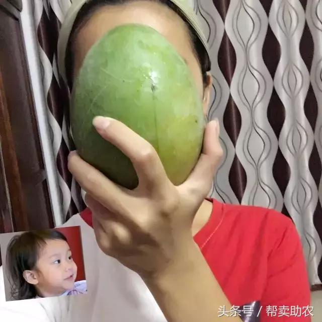 这个教师节，我要送芒果界的“巨无霸”