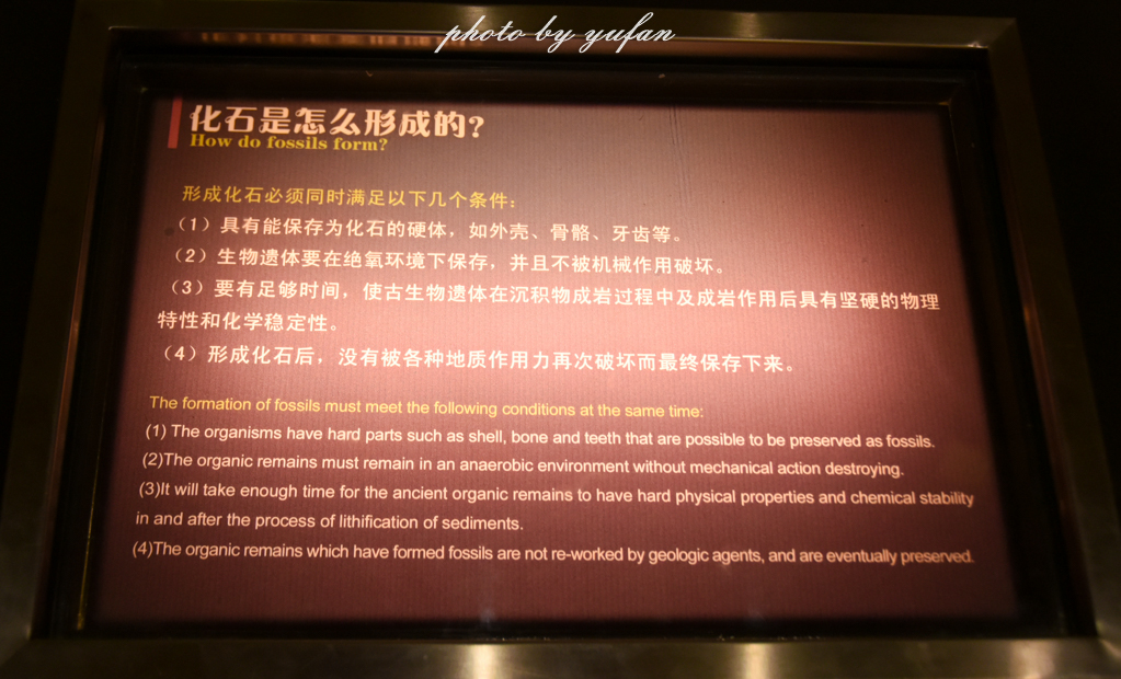 中国被称为恐龙之乡的地方在哪,哪里被誉为中国北方恐龙之乡