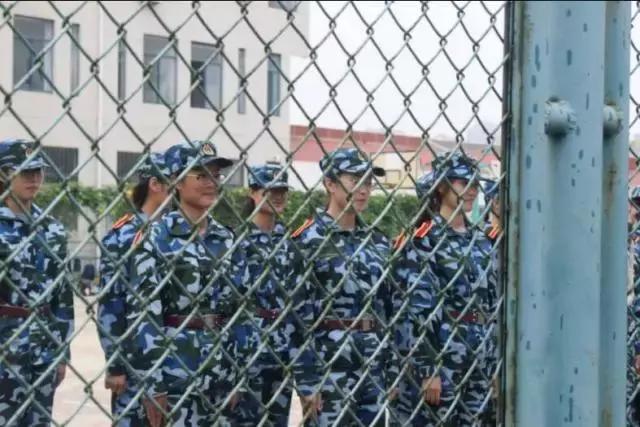 鍐涜惀宀佹湀閲庤惀璁粌瑙嗛,閮ㄩ槦杩峰僵鐢熸椿瑙嗛