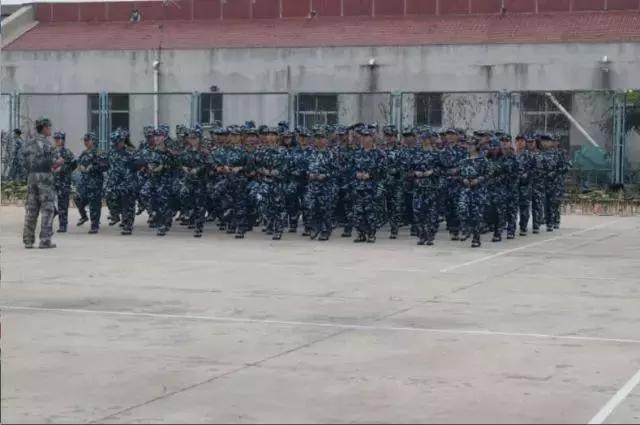 鍐涜惀宀佹湀閲庤惀璁粌瑙嗛,閮ㄩ槦杩峰僵鐢熸椿瑙嗛