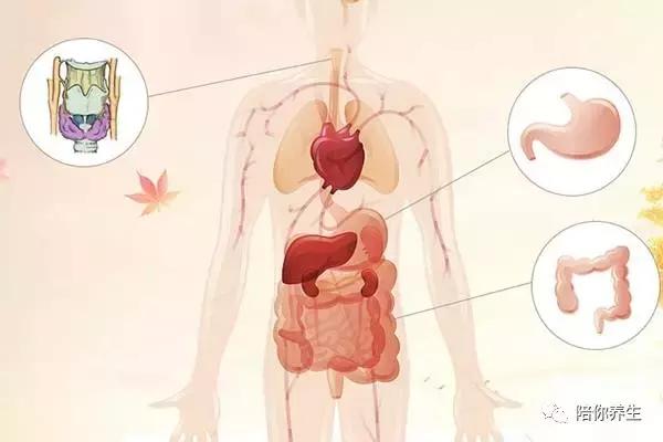 一秋三分寒病根最难缠秋季高发病一杯就管用