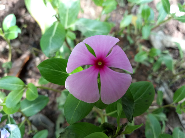 光荣v9play价格表,光荣v9play多少钱