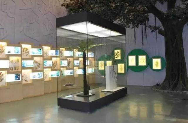 广州景点免费游玩全攻略,广州景点大全免费适合自驾游