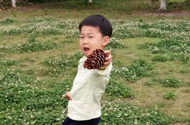 想让孩子的照片上电视，机会就在这里，点开抢先看！